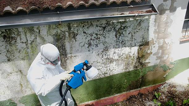 Top rated local Commercial Mold Remediation specialists in Church Hill, PA